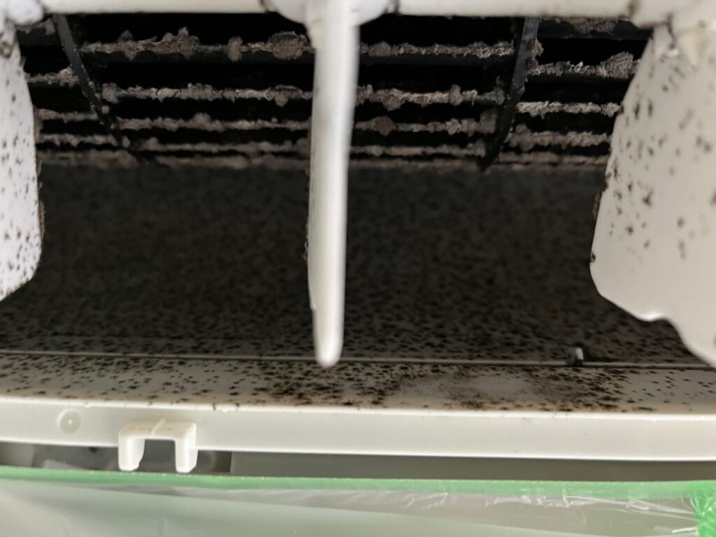 風量も弱くなるほどびっしりとカビやホコリなどの汚れが付着したファン