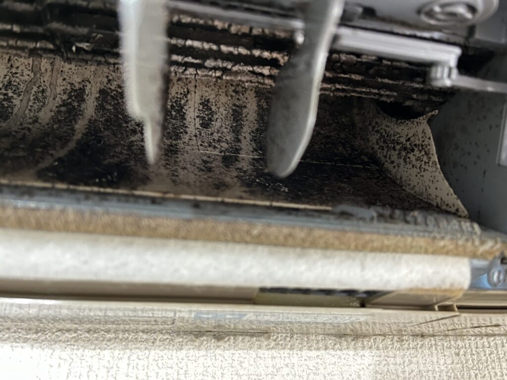 カビが煤のごとくこびり付いた、エアコンのシロッコファンとルーバー