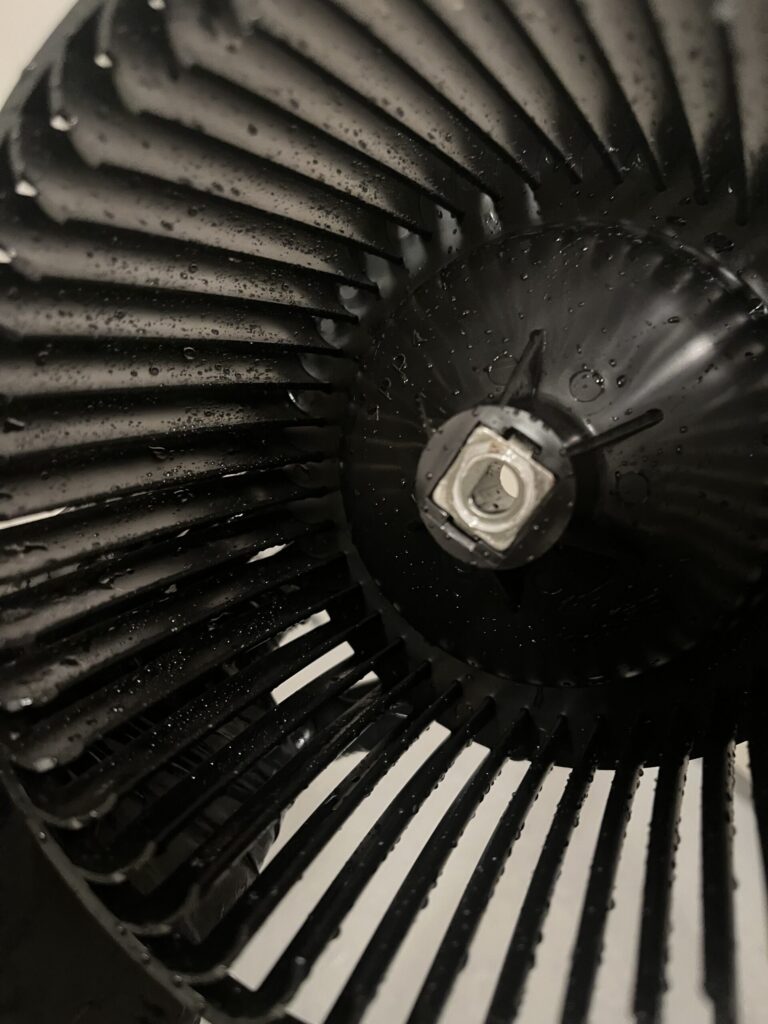 浴室のホコリとカビまみれだったファンをきれいにして、黒いツヤがもどった