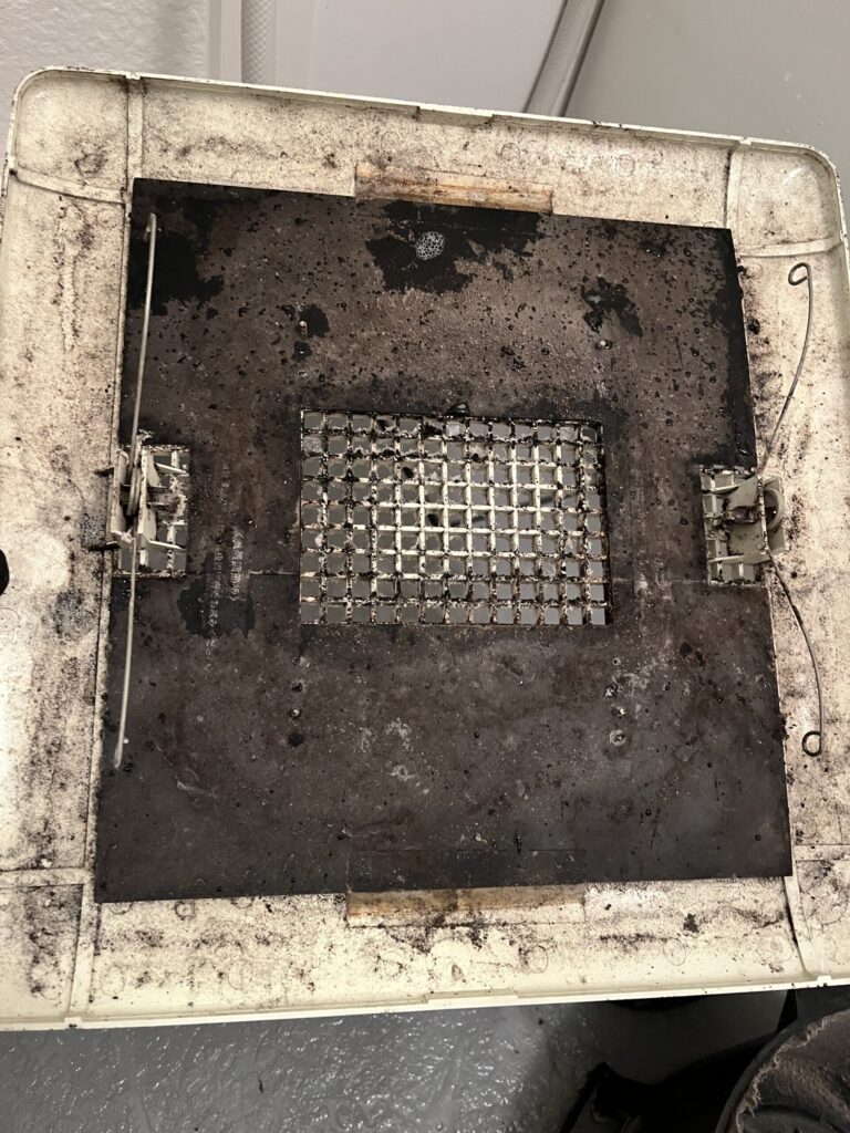 浴室の換気扇のカバー裏は湿気のせいでかびがとんでもなく付着していた