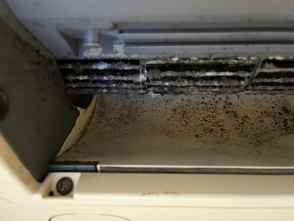 カビの臭いに耐え切れずエアコンクリーニングを頼んだら中はとんでもない汚れだった