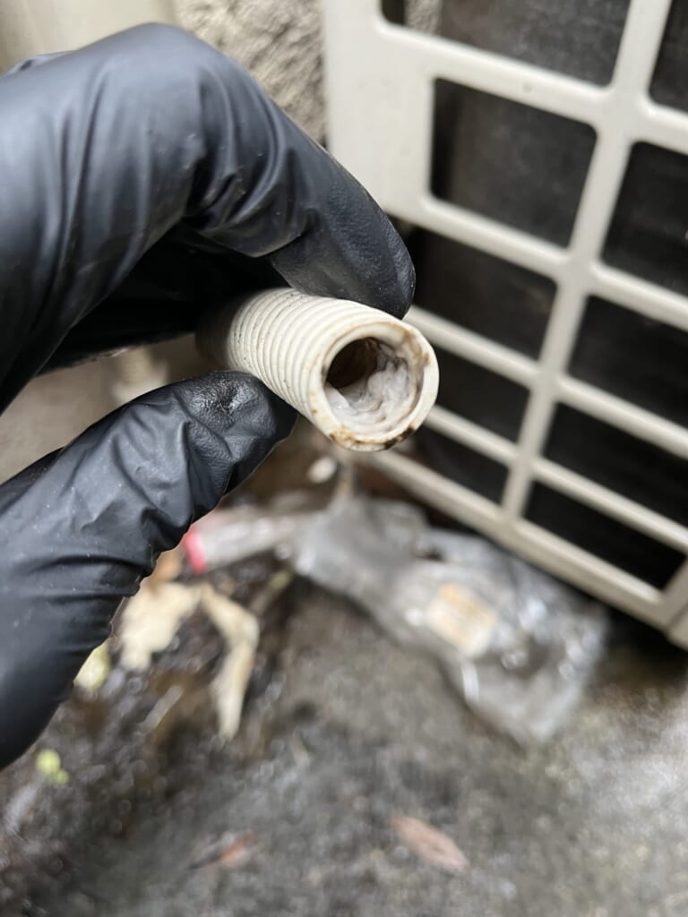排水の悪かった原因のドレンホースの汚れ