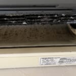エアコンの右半分からは風が出てこないほどのカビとホコリにまみれた内部
